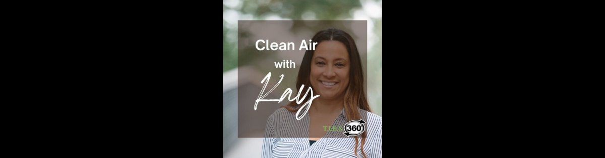  Embrace Spring with Clearer Air: Combat Allergies by Cleaning Your Air Vents 